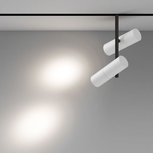 Трековый светодиодный светильник Maytoni Technical Magnetic Exility Elti Duo TR005-2-2X12W4K-BW