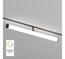 Трековый светодиодный светильник Denkirs Smart Ray DK8065-BK