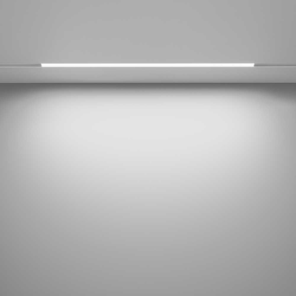 Трековый светодиодный светильник Maytoni Technical Basis TR030-4-24W3K-WW-DS-W