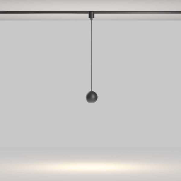 Трековый подвесной светильник Maytoni Technical TR165-1-8W3K-M-B