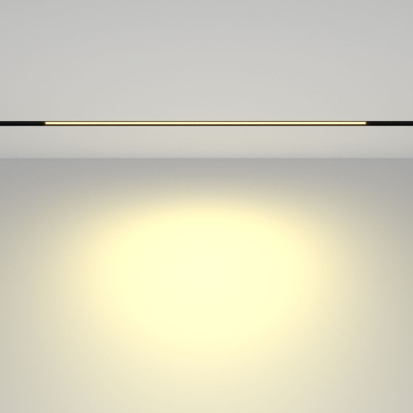 Трековый светодиодный светильник Maytoni Technical Basis TR030-2-24W2.7K-B