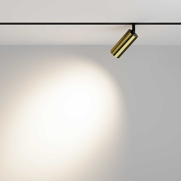 Трековый светильник Voltega Эксилайт / Exilight VGL032-2-12W4K-M-BBS