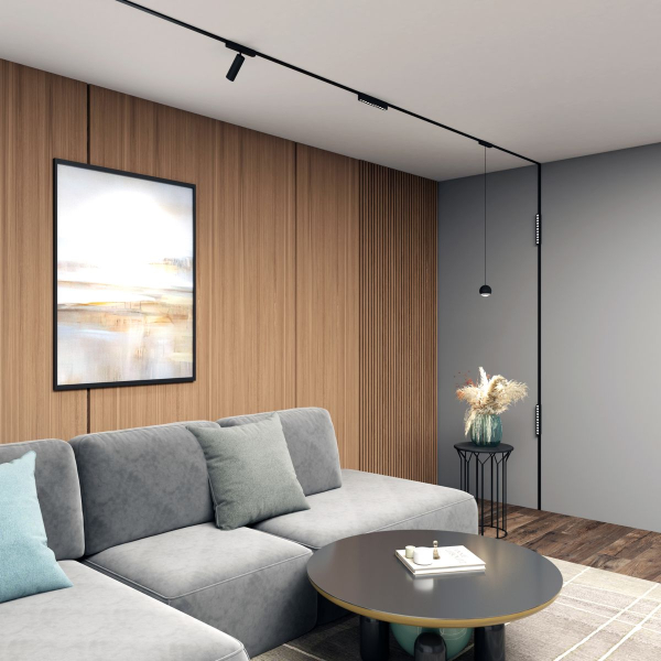 Трековый светильник Denkirs AIR SPOT DK5341-BK