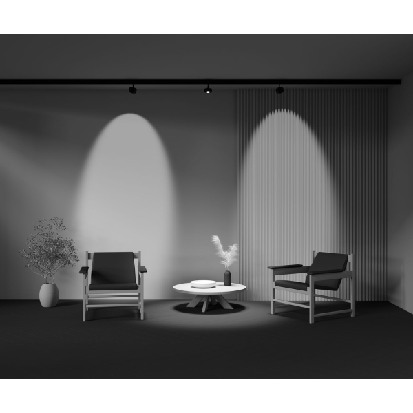 Трековый светодиодный светильник Maytoni Technical Exility Lens TR217-4-15WTW-DD-B