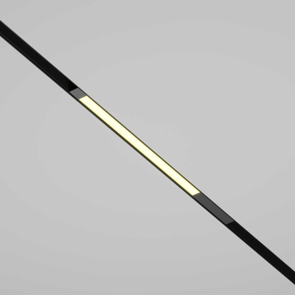 Трековый светильник Maytoni Technical TR231-2-10W3K-B