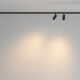 Трековый светильник Maytoni Technical TR176-1-2X3WTW-M-B