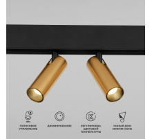 Трековый светодиодный светильник Elektrostandard Slim Magnetic Dim Dual 85056/01 латунь a063527