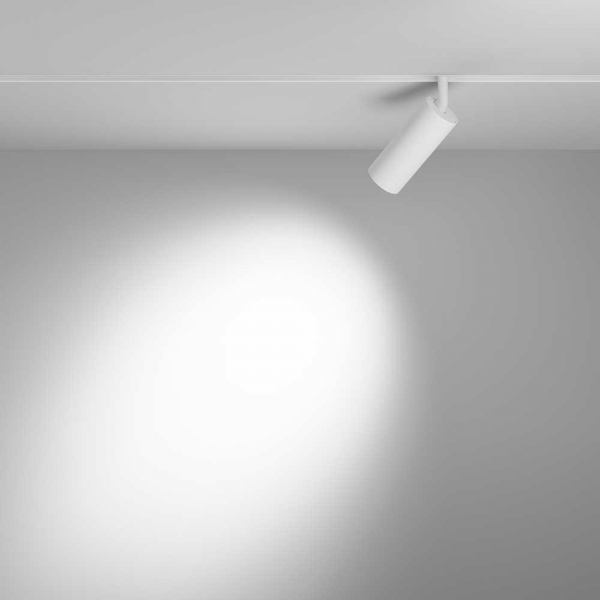 Трековый светодиодный светильник Maytoni Technical Focus LED TR032-2-12W3K-S-W Трековый светодиодный светильник Maytoni Technical Focus LED TR032-2-12W3K-S-W