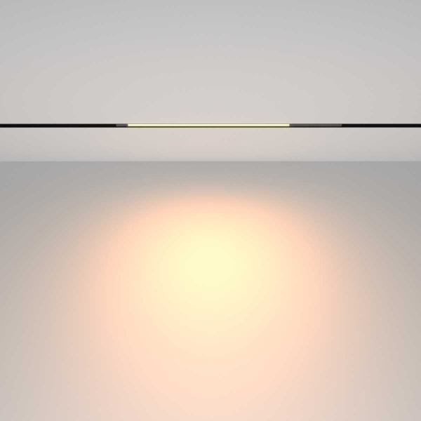 Трековый светильник Maytoni Technical TR231-2-10W3K-B