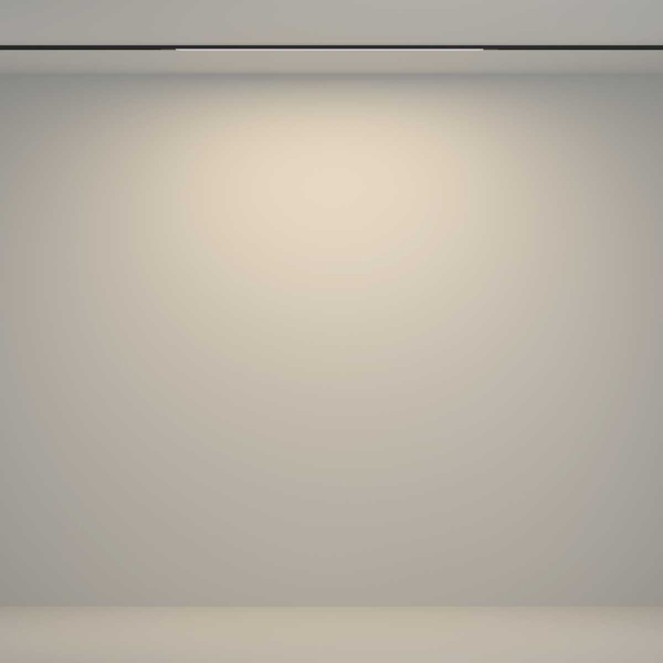 Трековый светильник Maytoni Technical TR180-1-12WTW-B