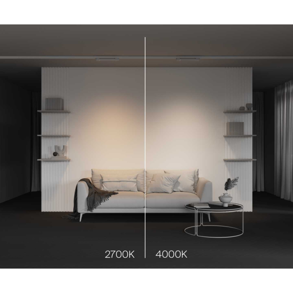 Трековый светильник Maytoni Technical TR196-3-10W4K-W