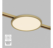 Трековый светодиодный светильник Denkirs Shine Flow DK5763-SB