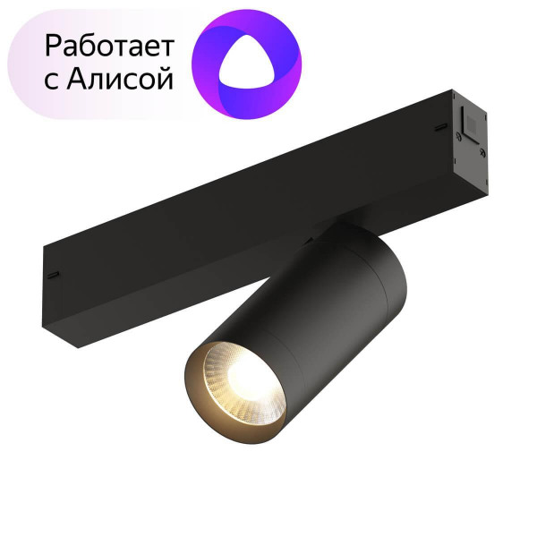 Трековый светильник Denkirs Smart DK8010-BK Трековый светильник Denkirs Smart DK8010-BK