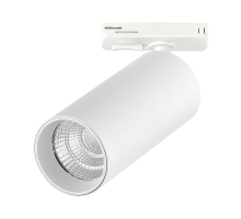 Трековый светодиодный светильник ST Luce ST384.536.10