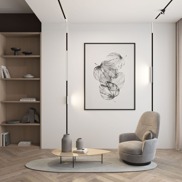 Трековый светодиодный светильник Denkirs DK8004-BK