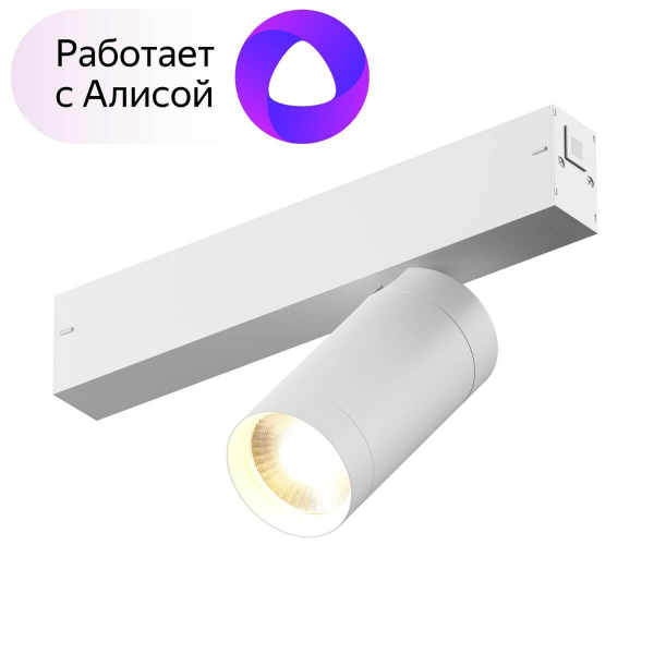 Трековый светильник Denkirs Smart DK8010-WH Трековый светильник Denkirs Smart DK8010-WH