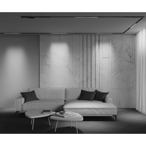 Трековый светильник Maytoni Technical EXILITY X Points TR241-2-12W3K-B