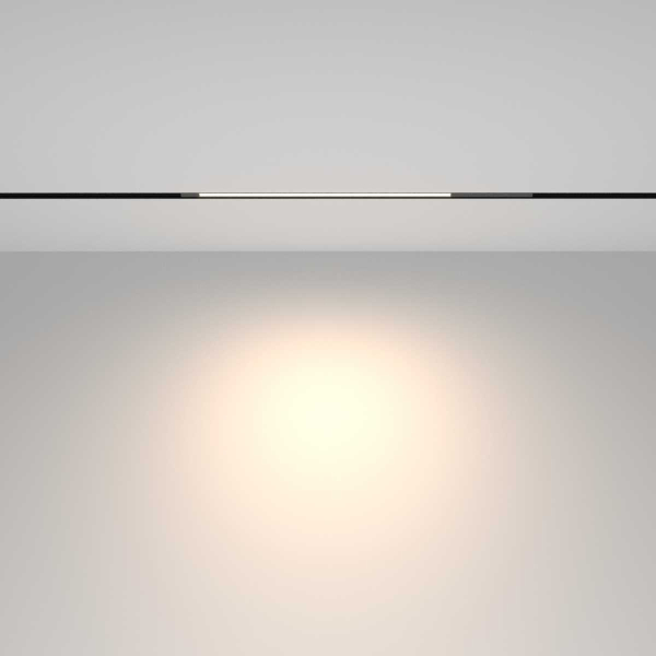 Трековый светильник Maytoni Technical TR231-2-10W4K-B