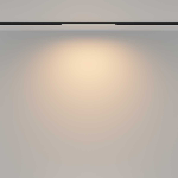 Трековый светильник Maytoni Technical TR173-1-8WTW-B