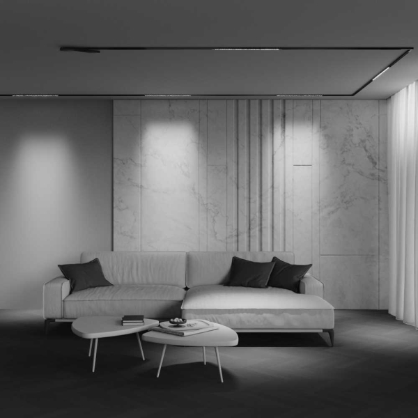 Трековый светильник Maytoni Technical EXILITY X Points TR241-2-12W3K-B