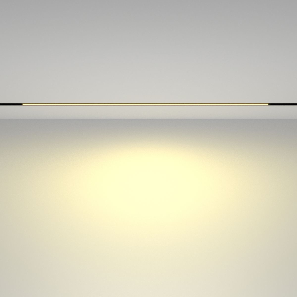 Трековый светодиодный светильник Maytoni Technical Basis TR030-2-30W2.7K-B