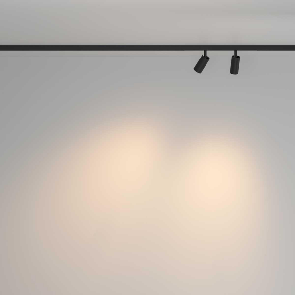 Трековый светильник Maytoni Technical TR176-1-2X3WTW-M-B Трековый светильник Maytoni Technical TR176-1-2X3WTW-M-B