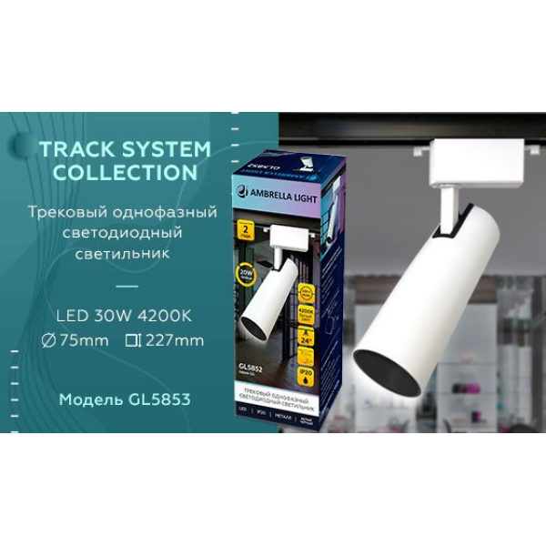 Трековый светодиодный светильник Ambrella light Track System GL5853