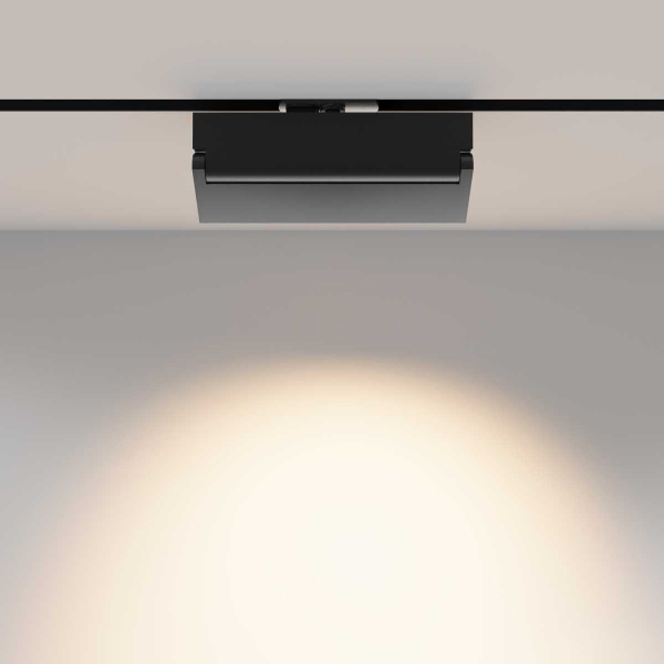 Трековый светильник Maytoni Technical TR224-1-12WCCT-M-B