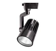 Трековый светодиодный светильник Jazzway PTR 0130-2 5022713