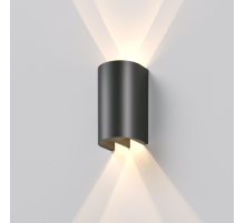 Светильник садово-парковый светодиодный Elektrostandard Twinray a071009