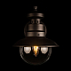 Уличный настенный светильник Loft IT Piemonte 100022W