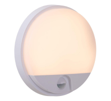 Уличный настенный светодиодный светильник  Lucide Hups Ir 22863/10/31