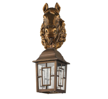 Уличный настенный светильник Favourite Hunt 2079-1W