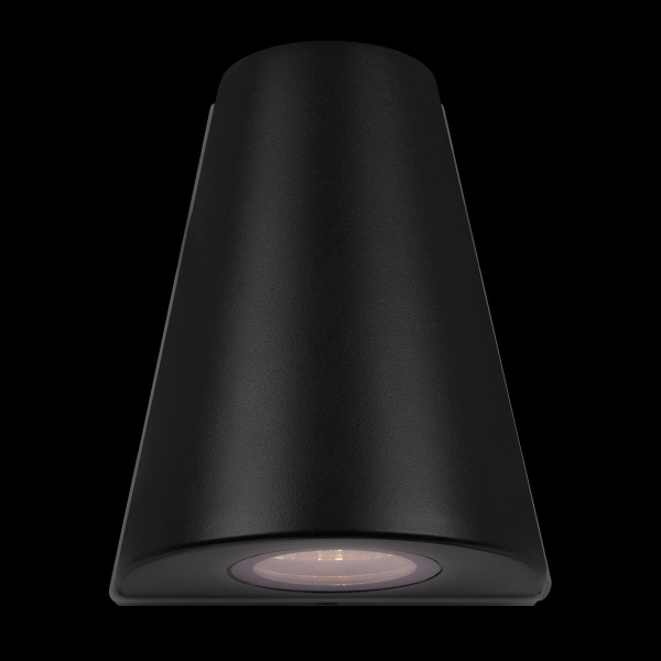 Уличный настенный светильник Loft IT Eterno 100004/2