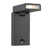 Уличный настенный светодиодный светильник Globo Sparrow 34310S