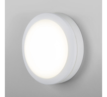 Уличный настенный светодиодный светильник Elektrostandard LTB51 Led белый a048704