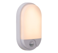 Уличный настенный светодиодный светильник  Lucide Hups Ir 22864/10/31