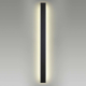 Уличный настенный светодиодный светильник Odeon Light Fibi 4379/29WL