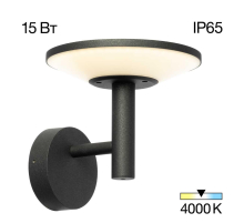 Уличный настенный светильник Citilux CLU05W