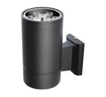 Уличный настенный светодиодный светильник Jazzway PWL-200110/30D 2857965B