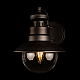 Уличный настенный светильник Loft IT Piemonte 100022W