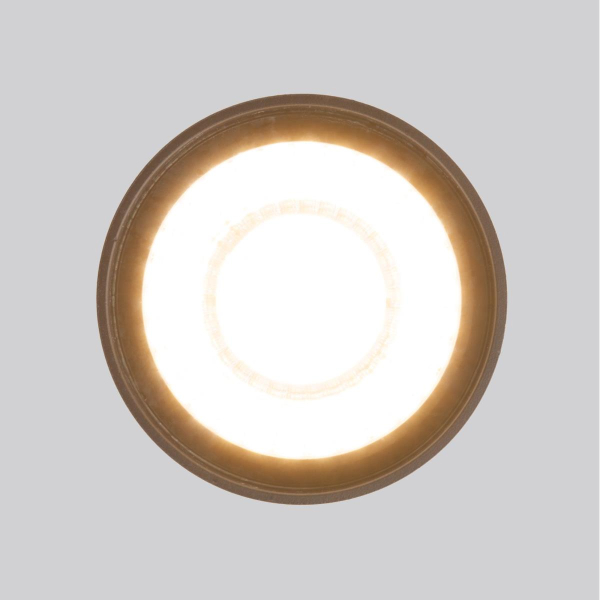 Уличный светодиодный светильник Elektrostandard Light Led 35132/H черный a056231