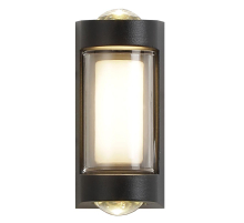 Уличный настенный светодиодный светильник Escada 30006W/01Led