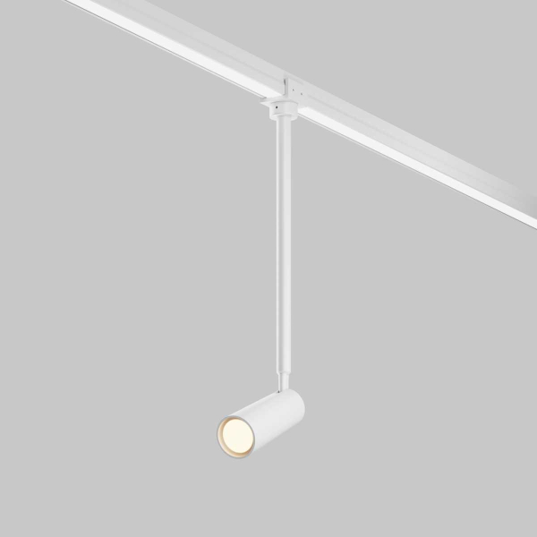 Уличный трековый светильник Maytoni Outdoor O-TR01-2-P-8WW3K