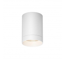 Потолочный светильник Maytoni Outdoor O500CL-L10W3K