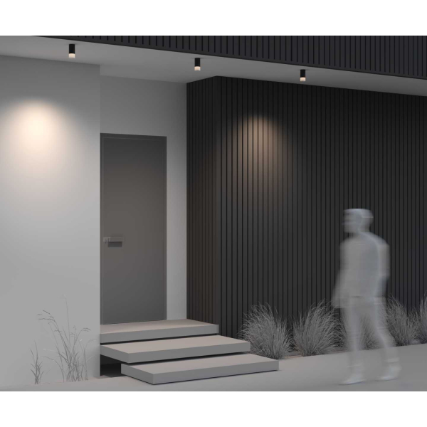 Потолочный светильник Maytoni Outdoor O499CL-L5B3K