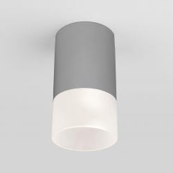 Уличный светодиодный светильник Elektrostandard Light Led 35139/H серый a057158