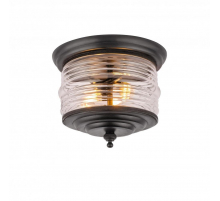 Уличный потолочный светильник Covali PL-30590