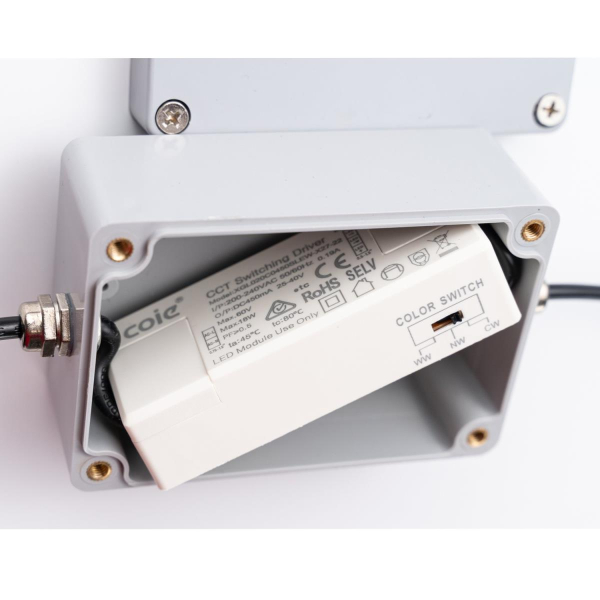 Уличный подвесной светильник Favourite Riga 4862-2U