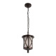 Уличный подвесной светильник Loft IT Ravenna 100016P
